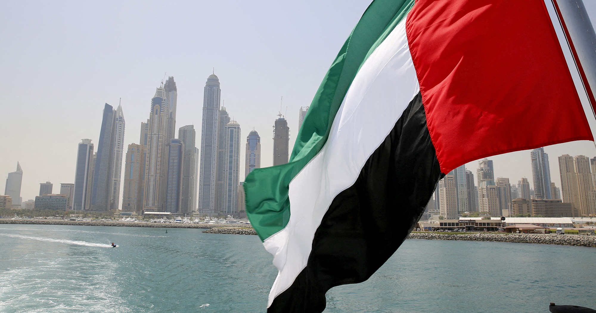 Лицензия фрилансера в ОАЭ, фото 1 Лицензия фрилансера в ОАЭ, фото 1