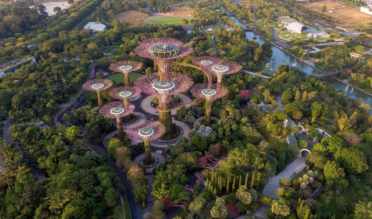 Регистрация компании в Сингапуре, фото 4