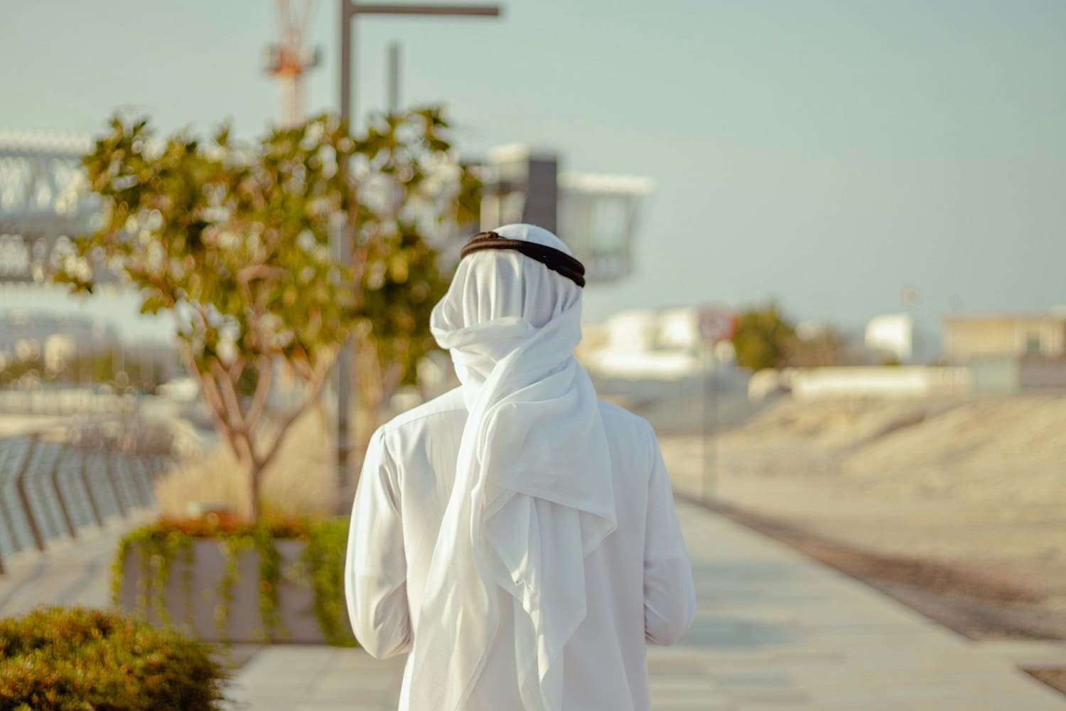 goAML Registration in the UAE, image 1